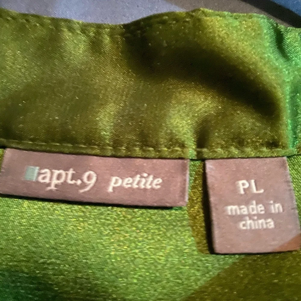 Vntg. Apt.9 Sz-LP Silky/Smooth Green Short Sleve Botton Blouse, Ruffles & Pleats - Picture 6 of 6
